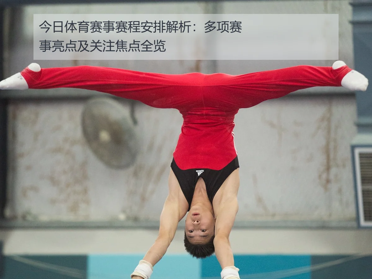 今日体育赛事赛程安排解析:多项赛事亮点及关注焦点全览